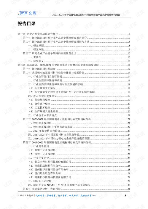 2021 2025年中国锂电池正极材料行业调研及产品竞争战略研究报告.pdf